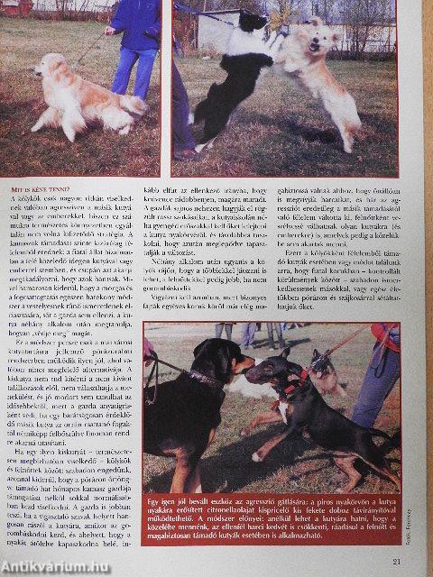 Nemzetközi Kutya Magazin 2003. január