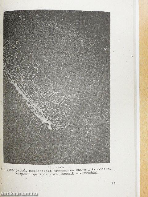 Általános genetika