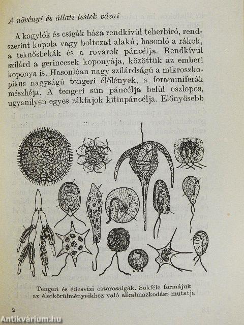 Az élet és a halál