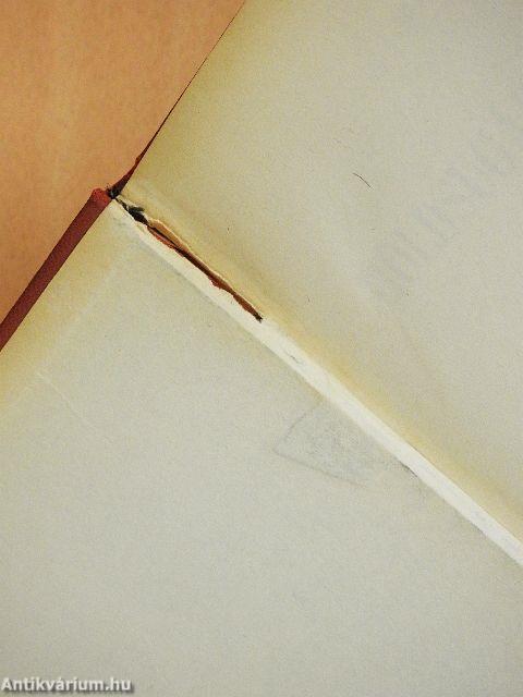 Holdsugár kisasszony