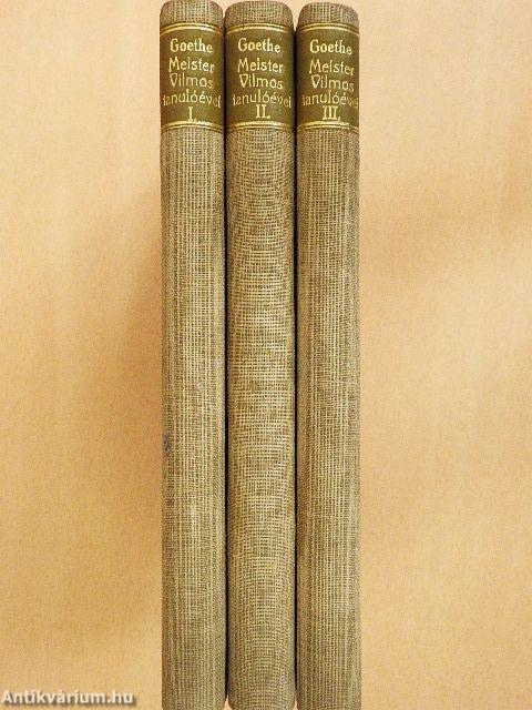 Meister Vilmos tanulóévei I-III.