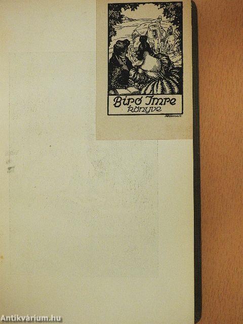 Meister Vilmos tanulóévei I-III.