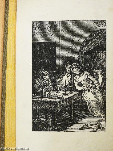 Meister Vilmos tanulóévei I-III.