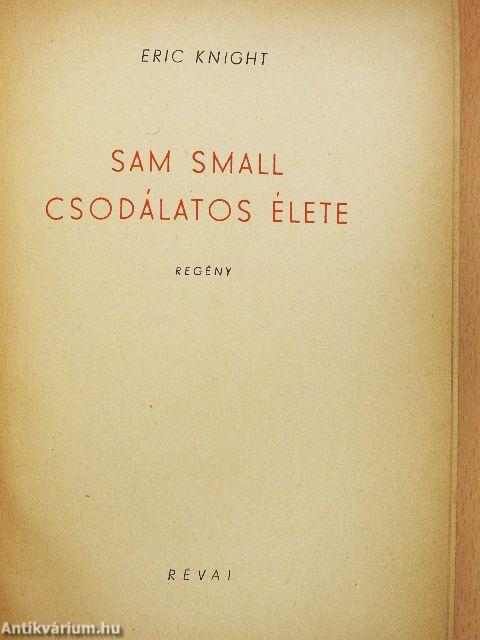 Sam Small csodálatos élete