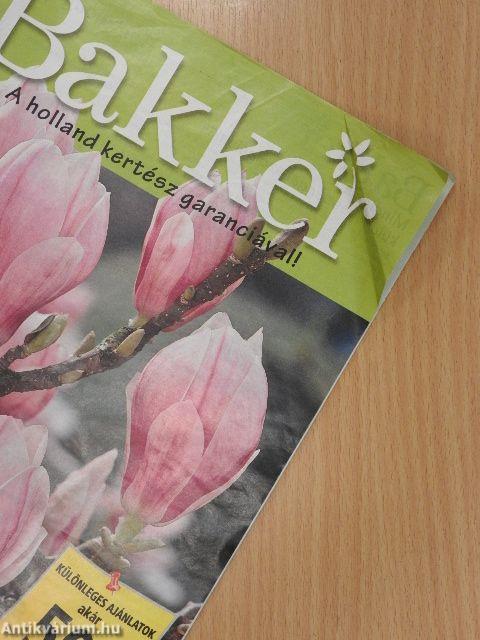 Bakker katalógus 2013 ősz