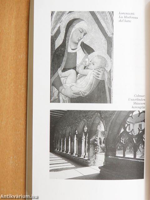 Az ember és az antilop