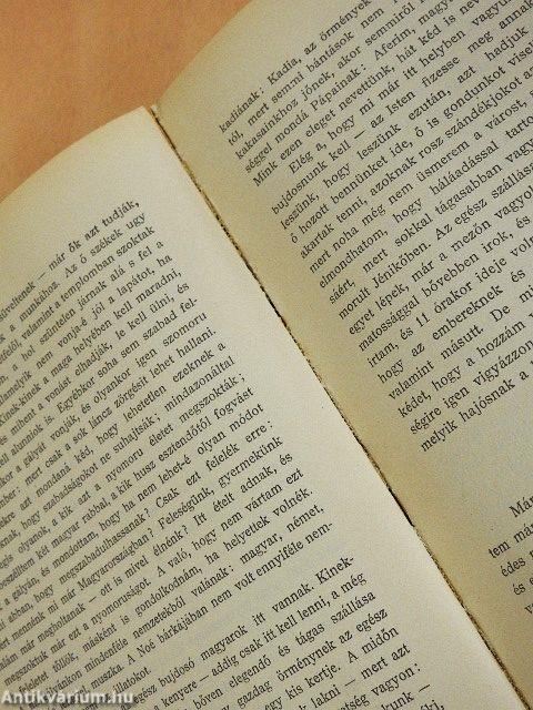 Mikes Kelemen törökországi levelei