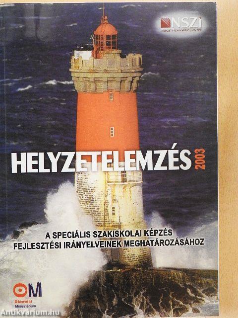 Helyzetelemzés 2003