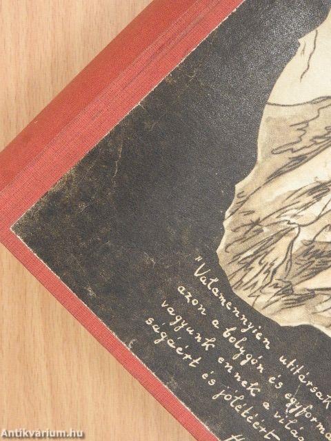 Nézz körül a Földön