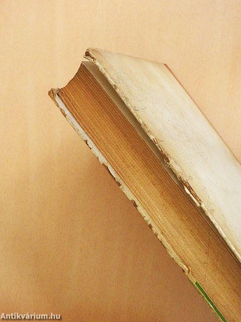 Egy magyar diák élete Mátyás király korában