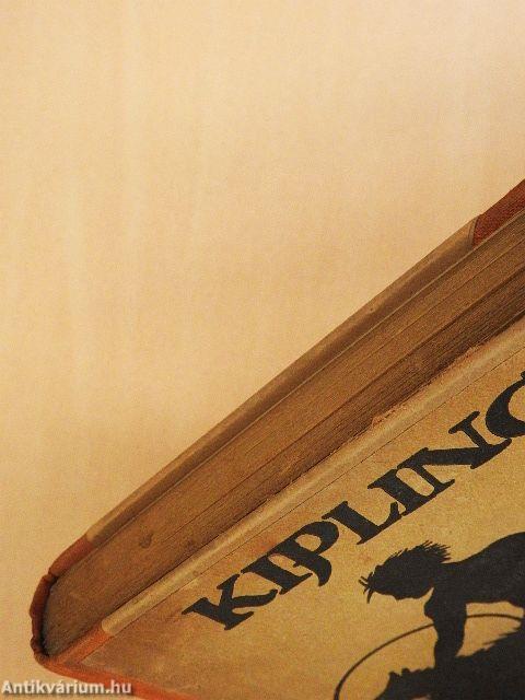 Maugli kalandjai az őserdőben