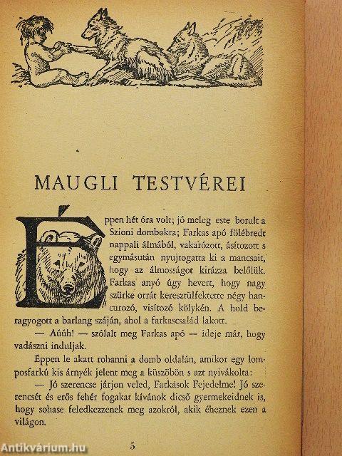 Maugli kalandjai az őserdőben