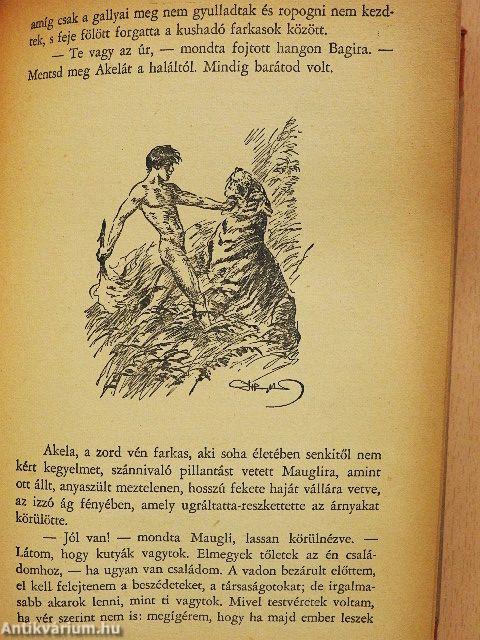 Maugli kalandjai az őserdőben