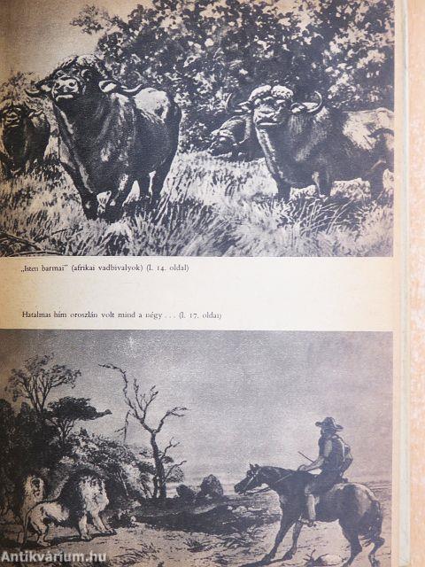 Híres vadászkalandok