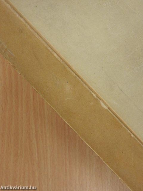 Nemzetközi testnevelési tudományos konferencia