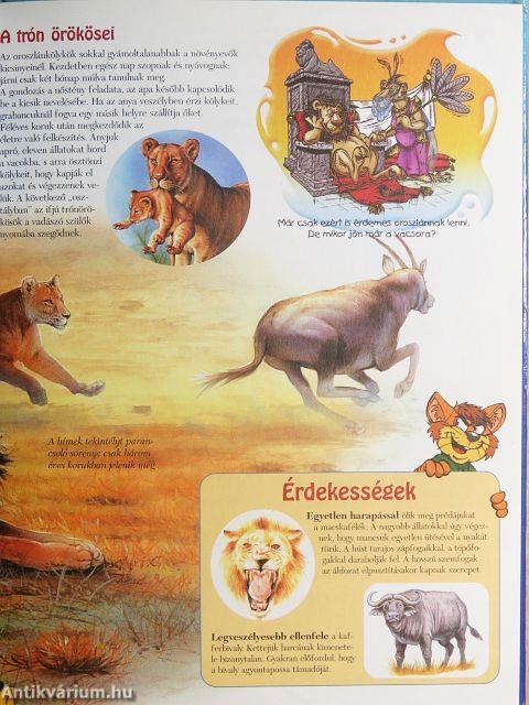 Varázslatos állatvilág