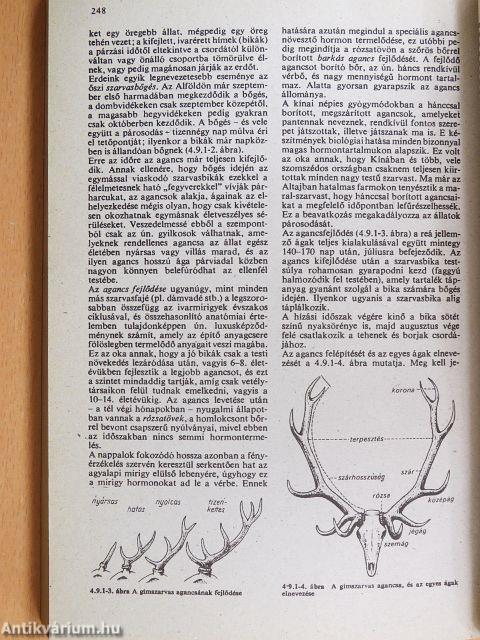 Biológiai fogalomtár