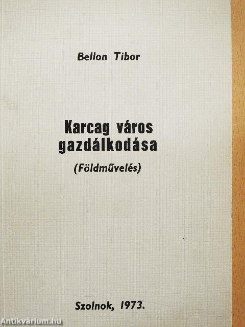 Karcag város gazdálkodása
