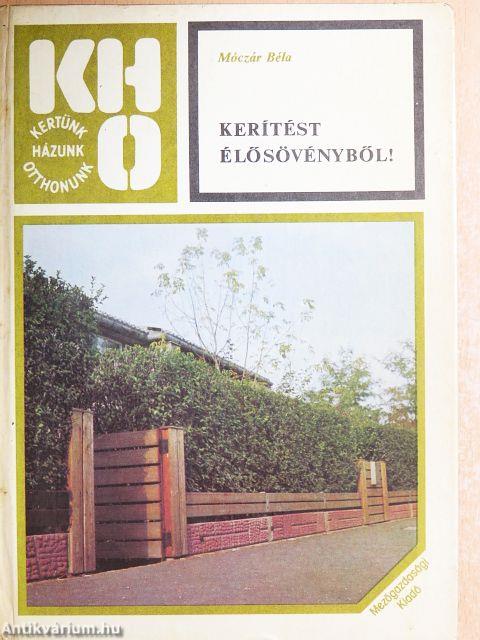 Kerítést élősövényből!