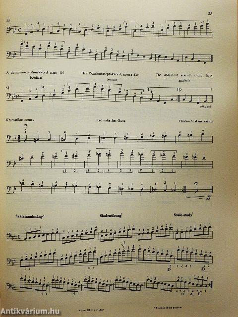 Nagybőgőiskola IV.