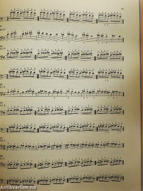 Nagybőgőiskola IV.