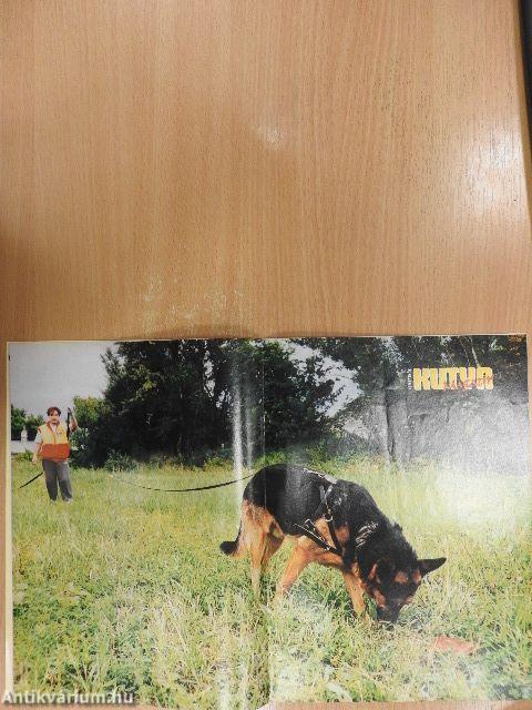 Nemzetközi Kutya Magazin 1998. augusztus