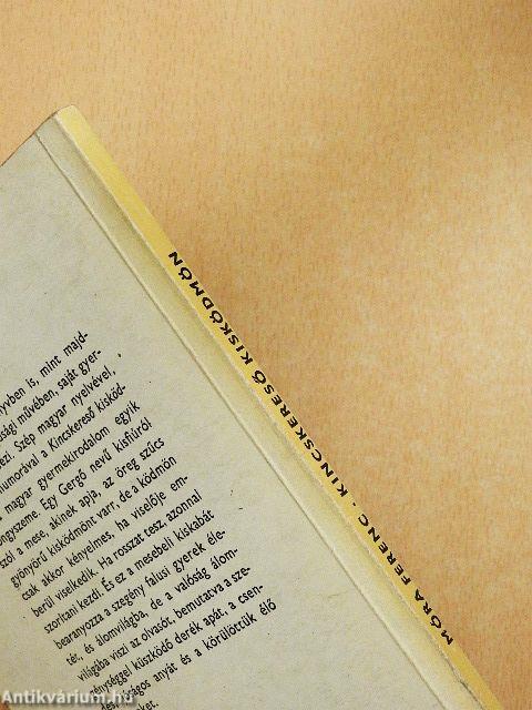 Kincskereső kisködmön