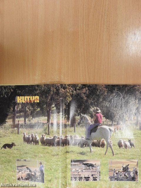 Nemzetközi Kutya Magazin 1998. december