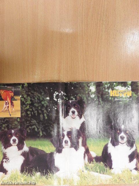 Nemzetközi Kutya Magazin 2003. április