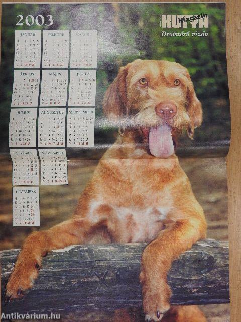 Nemzetközi Kutya Magazin 2003. január