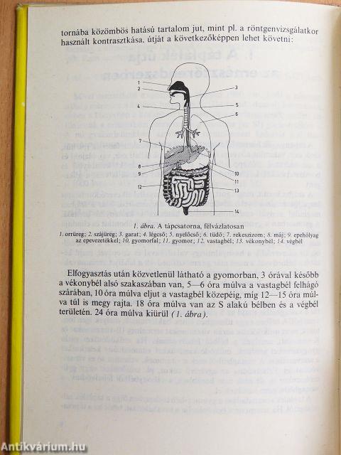 A sportolók táplálkozása