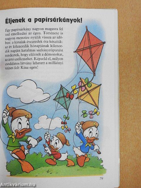 Az ifjú csibészek kalandkönyve