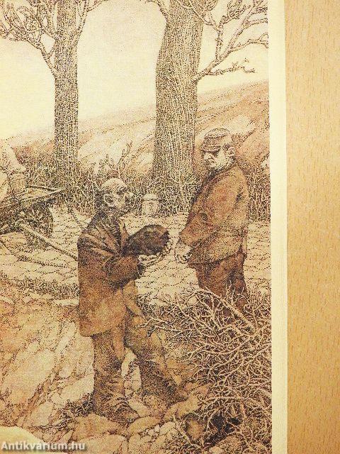 Az aruvimi erdő titka