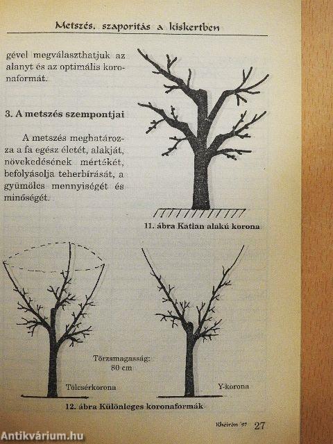 Metszés, szaporítás a kiskertben