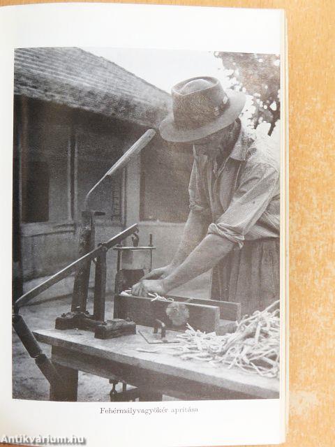 Gyógyító növények