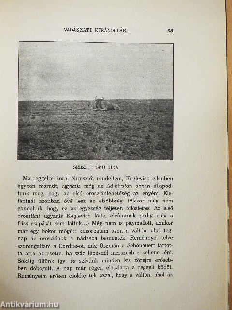 A Guaso Nyiro mentén a Natron-tóig