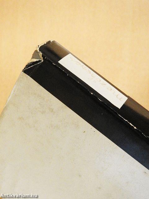 Mezőhegyesi közkatonák