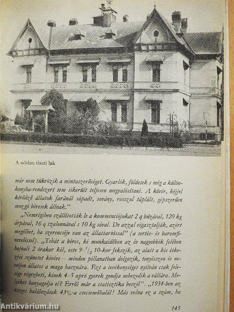 Mezőhegyesi közkatonák