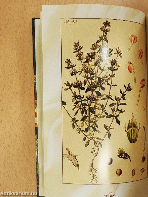 Rendhagyó szakácskönyv