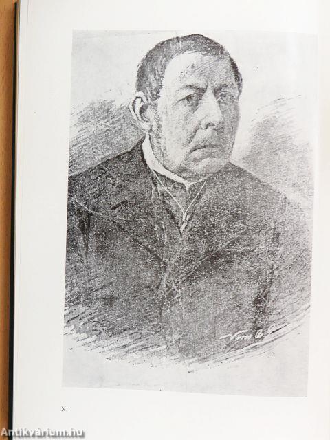 Tanulmányok Békéscsaba történetéből