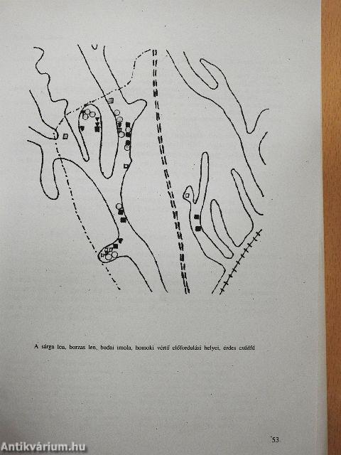 Múlt és jelen Bölcskén