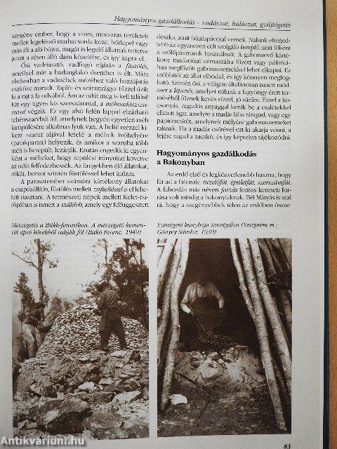 Paraszti és polgári hagyományok a Kárpát-medencében