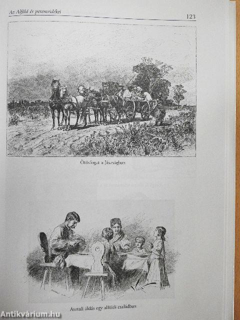 Paraszti polgárosulás és a népi kultúra táji megoszlása Magyarországon