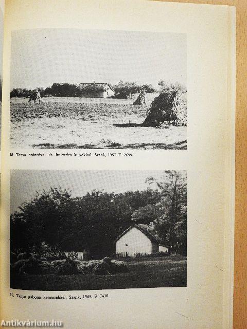 Fejezetek a szanki és móricgáti tanyásgazdálkodás múltjából