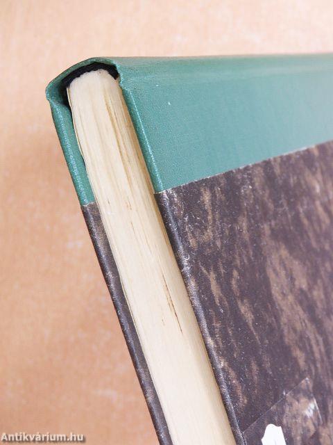 Krisztina királynő Rómában