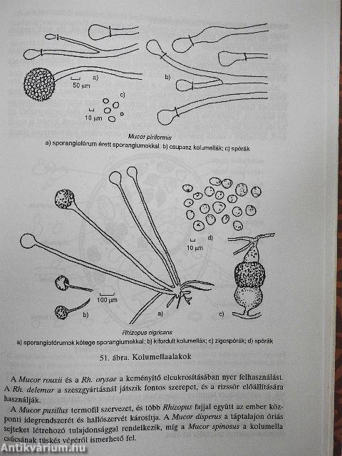 Mezőgazdasági mikrobiológia