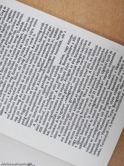 Felső-tiszavidéki templomok I. 