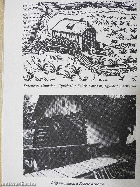 A Körösök és a Berettyó vízrendszere