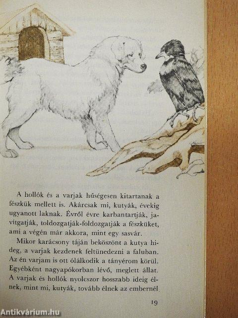 Saját manccsal írtam