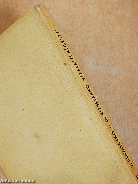 Vízalatti régészet